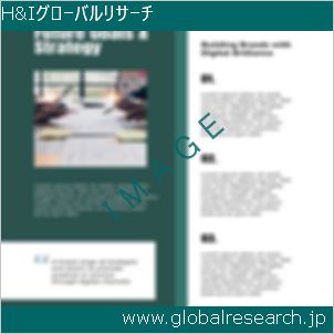 グローバルリサーチ調査レポートのイメージ